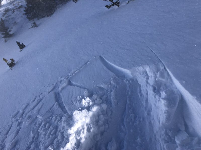 Fresh, shallow wind slab development on NE aspect 10,300ft