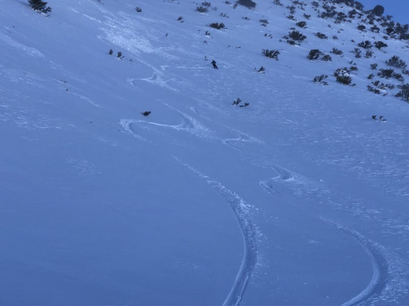 Reactive shallow windslab on ski turns 230pm, convict area