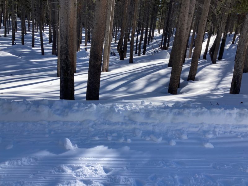 Snow coverage in the Lakes Basin was deep enough to blanket the burn piles around the lakes, but not bury them.