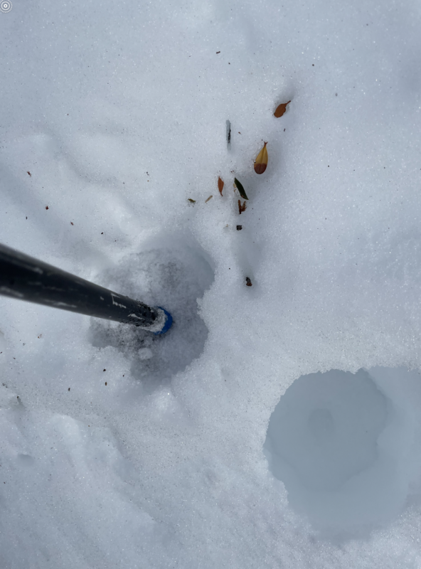 Punchy solar crust observed on E shoulder of Yost Creek with soft, rotting snow beneath