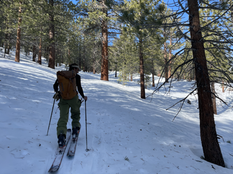 Crunchy melt-freeze crust mixed with softer, sugary faceted snow