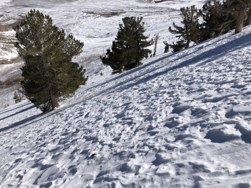 east aspect, Basin Mtn