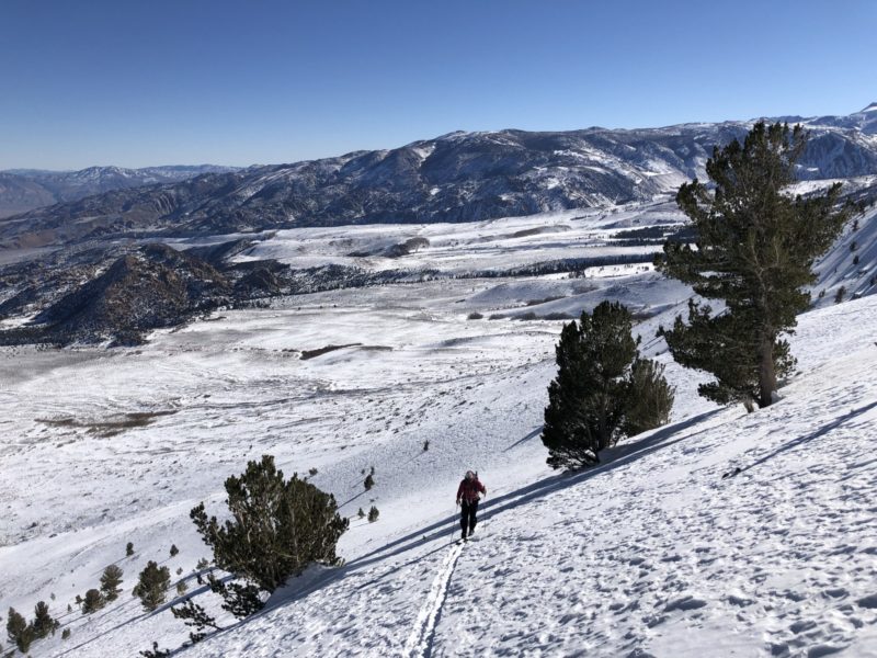 East aspect, Basin Mtn 10K 