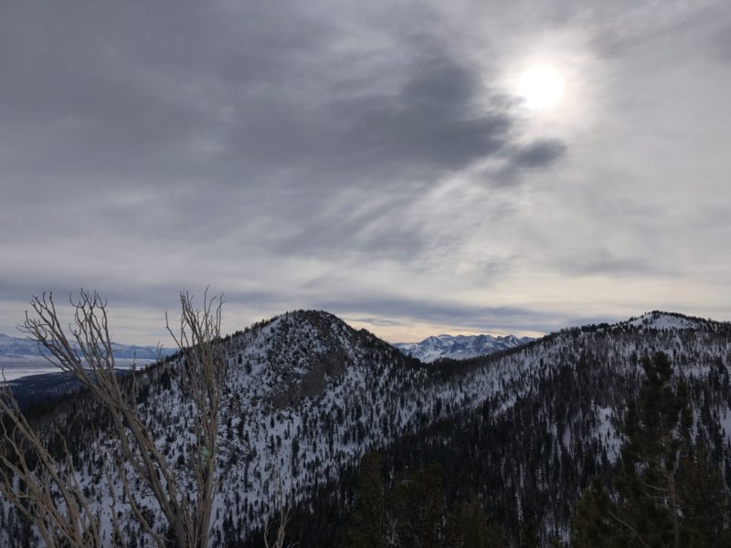 Grey skies and calm conditions, Jan 10