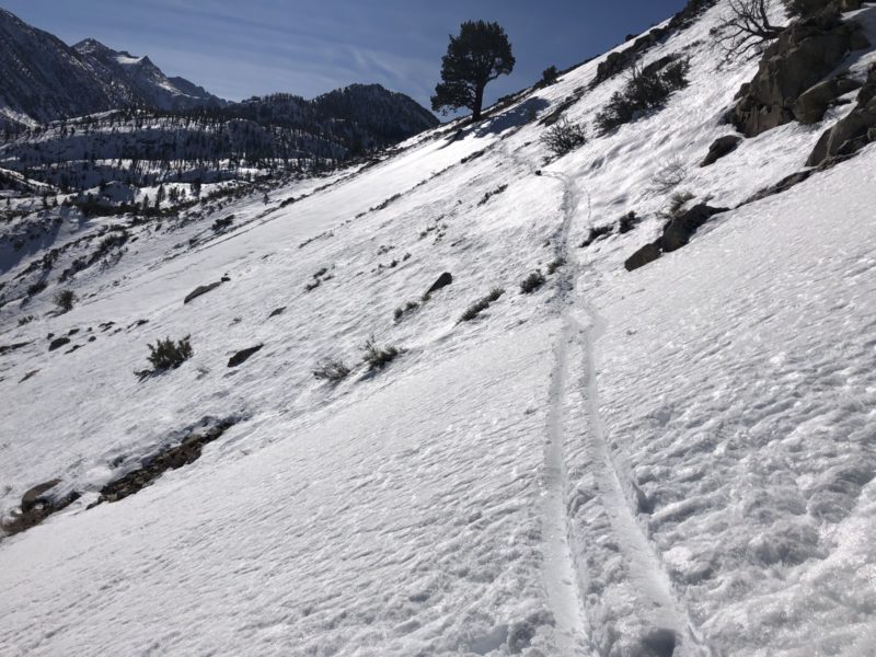 10-15cm moist surface grains on SE aspect 9500'