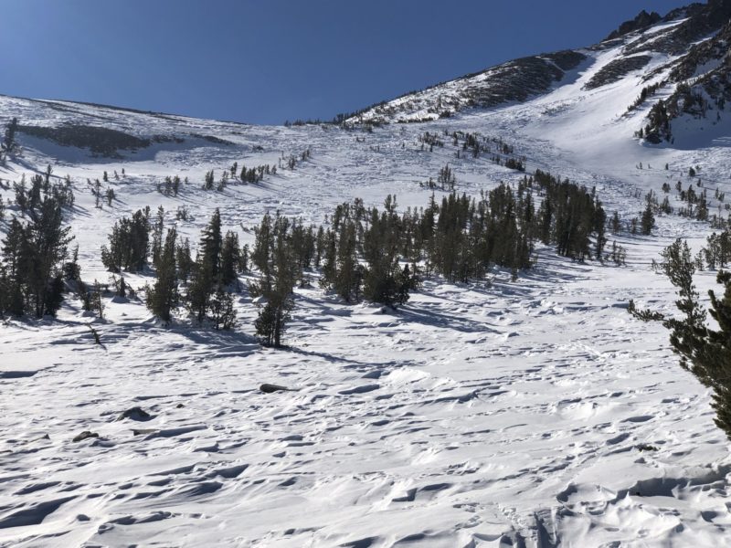 northerly terrain 9400ft lee vining cyn