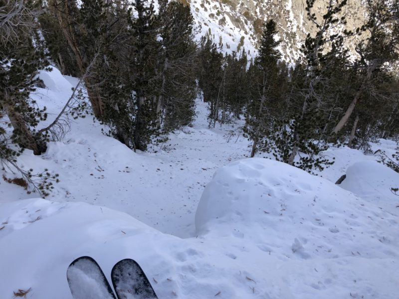 Near surface facets and windstrewn needle cast 10300ft rock creek