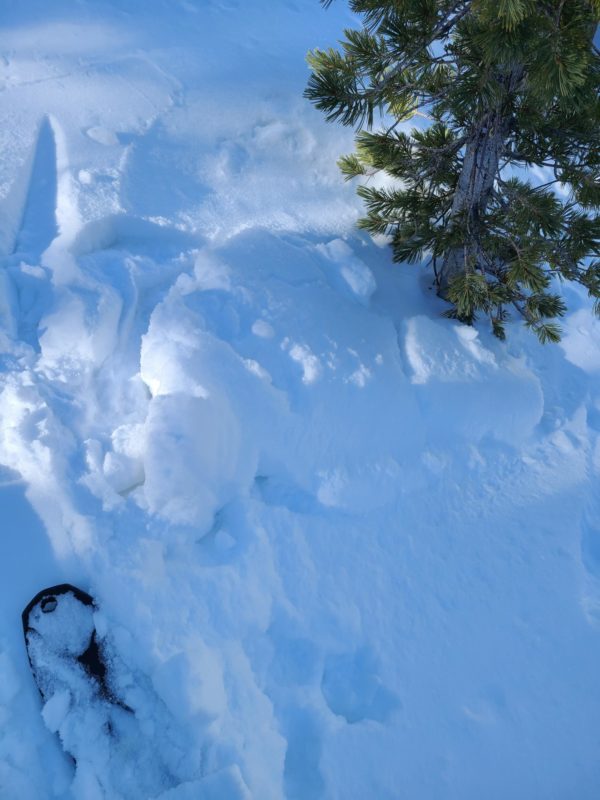The blocks of snow moved downhill easily in low angle terrain