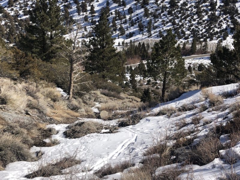 Dwindling snow pack in rock creek canyon