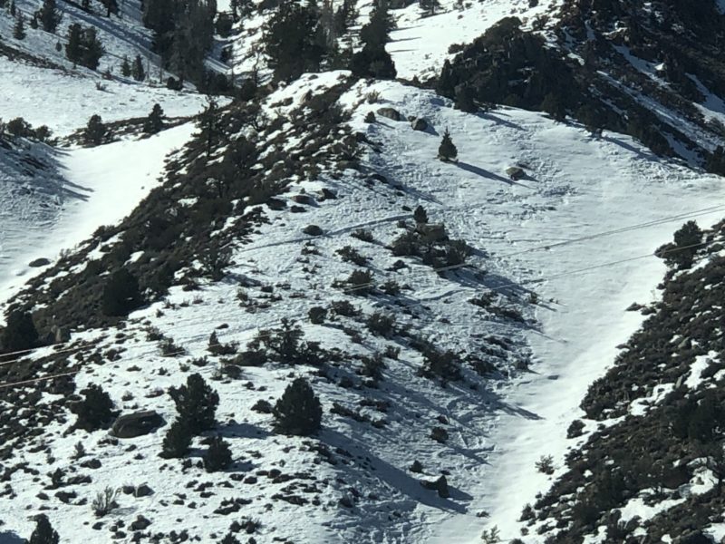 2 month old raised skin tracks on table mountain