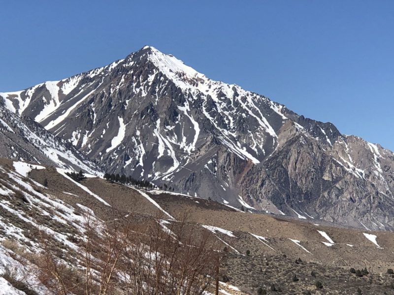 S side of Mt Tom, pretty burned out