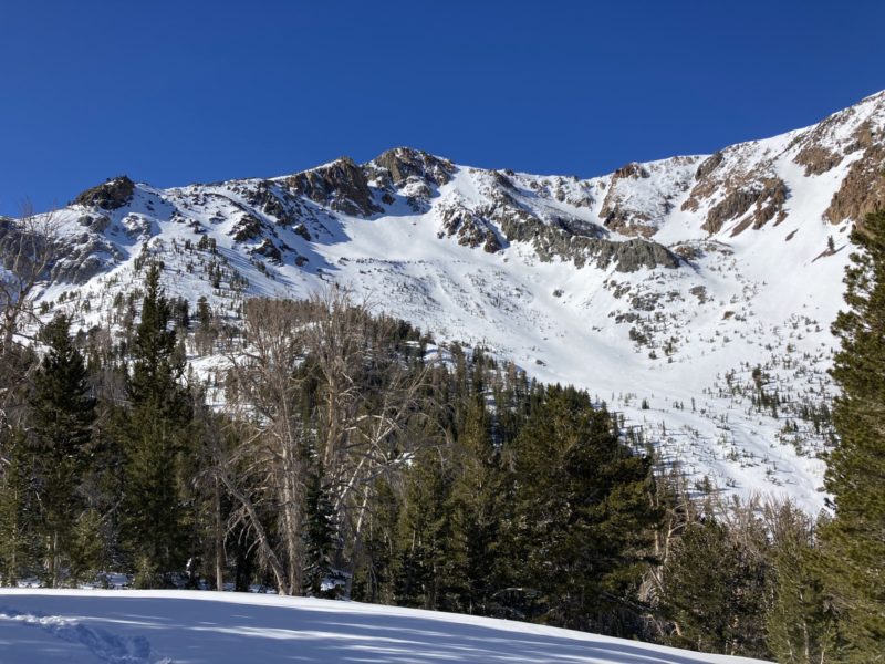 The high starting zones in the Negatives were mostly stripped by upslope winds. Solar bowl and the lookers right side appear to be back to the old melt/freeze surface.