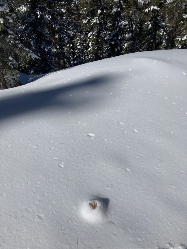 Storm snow settlement