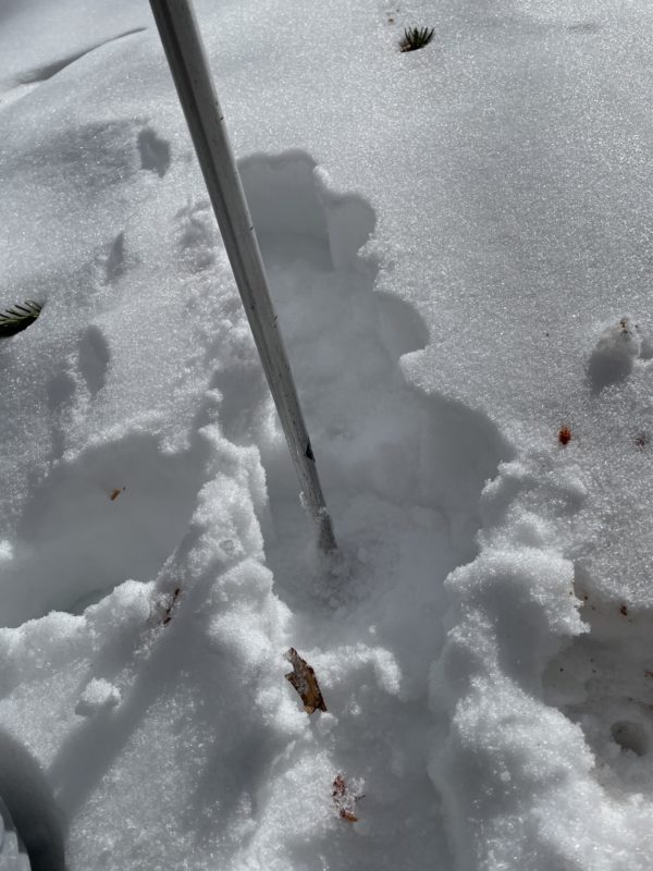 Soft, faceted snow in a sheltered areas below the looker's right tele bowl