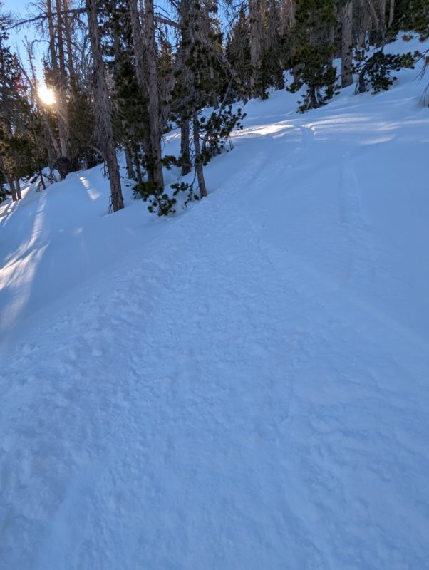 Great snow on the descent