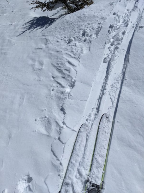 1 cm wind crust ontop of most of the wind effected terrain on V bowl and coke chute