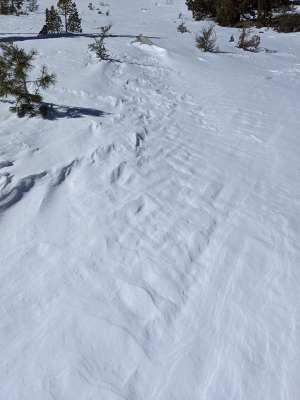 recent wind textured snow looking up vbowl in exposed areas