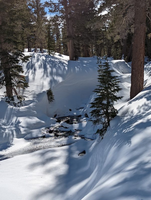 Mammoth Creek appearing and disappearing beneath the snow