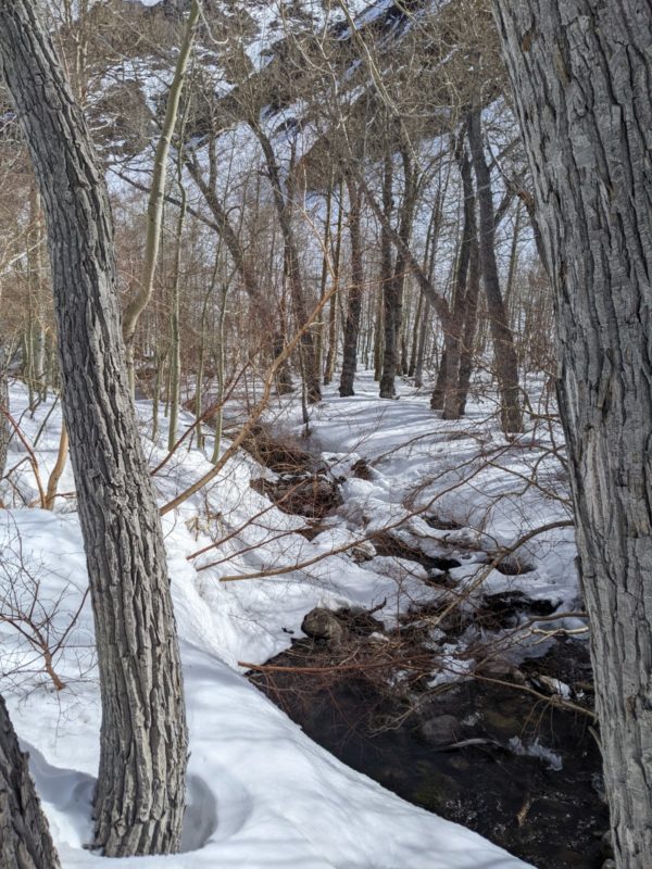 Mcgee creek crossing options outside of the 1 snow bridge