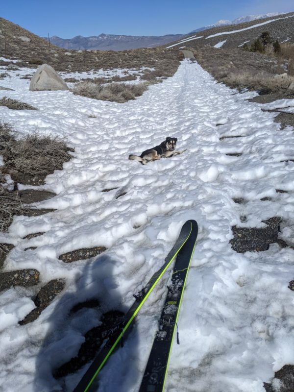 Greatfull for the 2-3 cm of soft snow on the return ski on the 3d textured snow