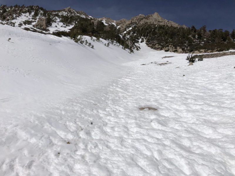 Wintry snow on the n-aspect, corn on the E-SE
Basin mtn