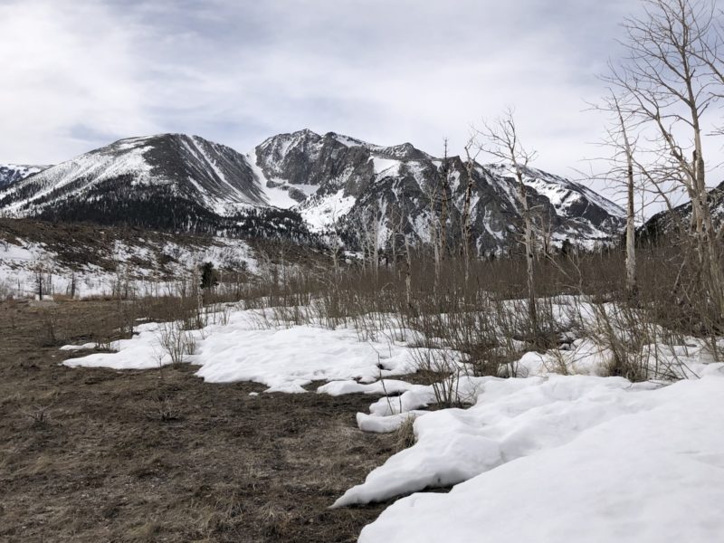 Mt lewis, north side