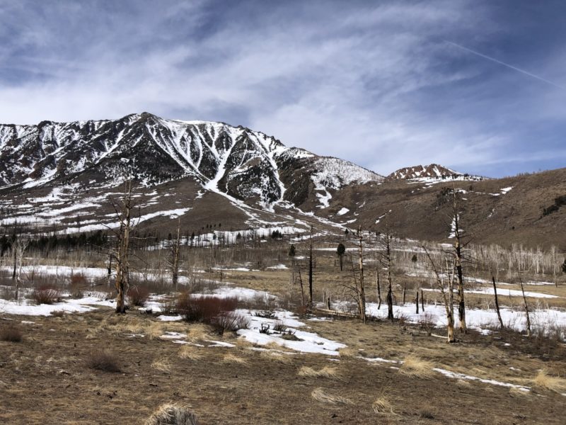 Mt Gibbs from upper meadows in Bohler canyon