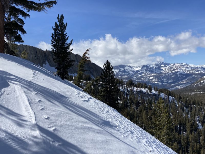 Old raised tracks at ridge top approaching Red Cone.