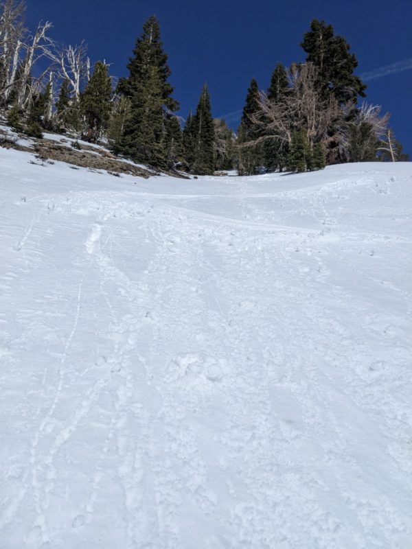 roller balls from turns on SW aspects of san Joaquin ridge