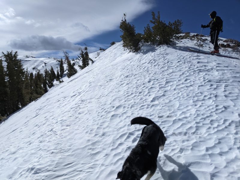 stripped wind texture surface on the top 10-50 feet of the Sherwin ridgeline