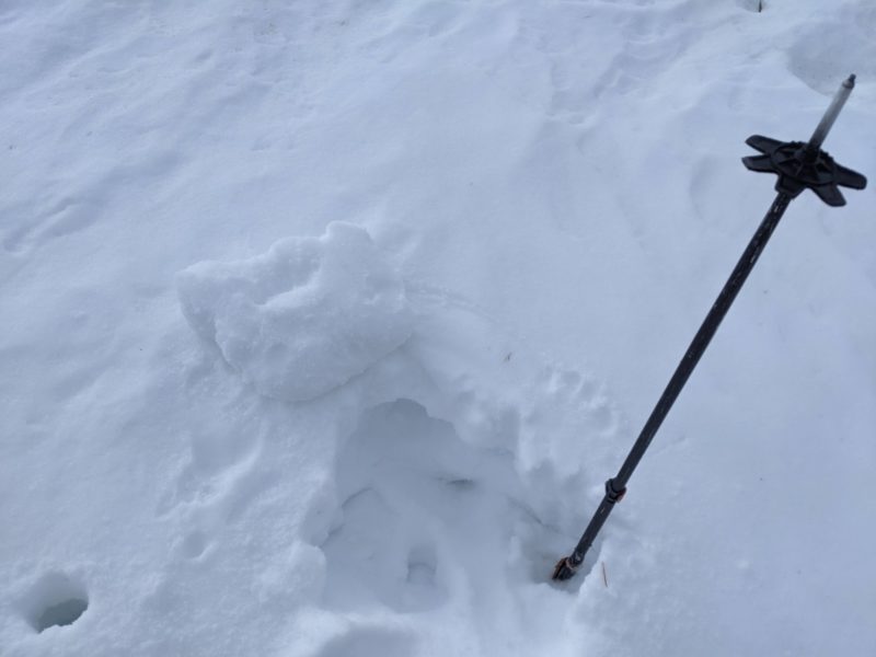 hand pit ontop of the skeirs left tele bowl NNE aspect.  2 cm soft snow onotop of 12cm of P hardness wind board ontop of some 4F facets