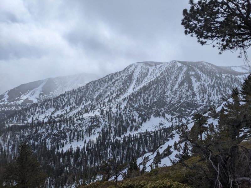 solitude canyon coverage photo 3/15/2022