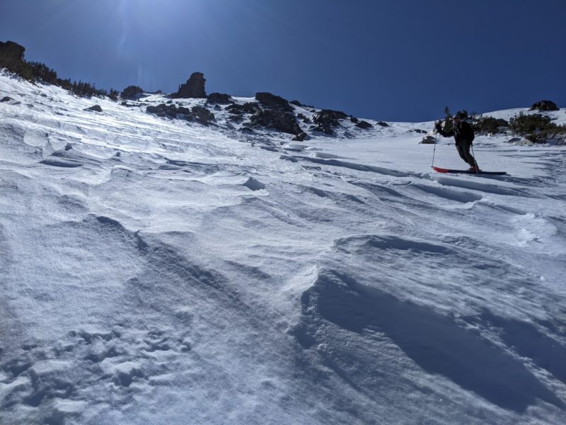 The primary texture in a lot of North bowl on carson peak