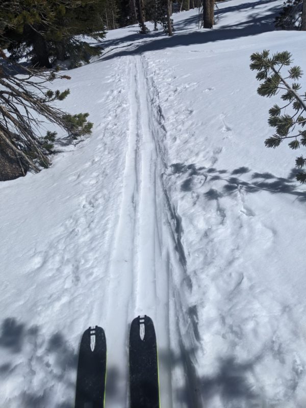 Soggy redcone skin track