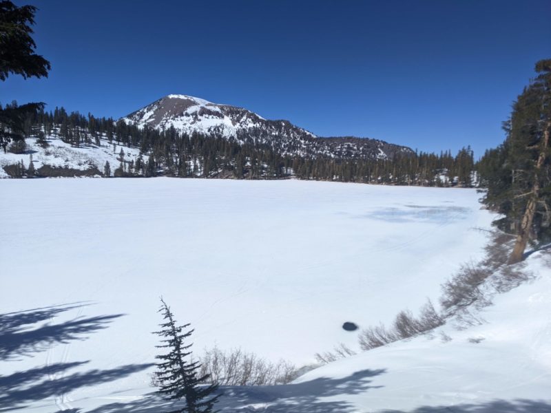 Some open water and blue color on George lake, a similar sight on lake Mary