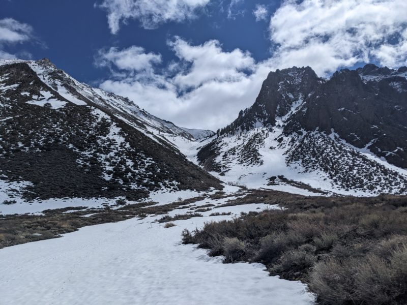 Coverage Photo looking up esha canyon from near McGee Creek.