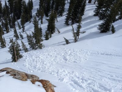 Ski cut triggered loose wet on E aspect 9300ft steep in the negatives cirque convexity