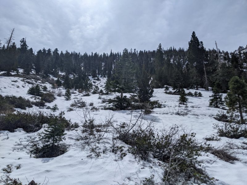 Fun supportable adventure skiing down to the fern/yost trailhead