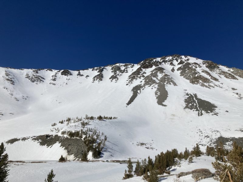 Barney Headwall 9:30am