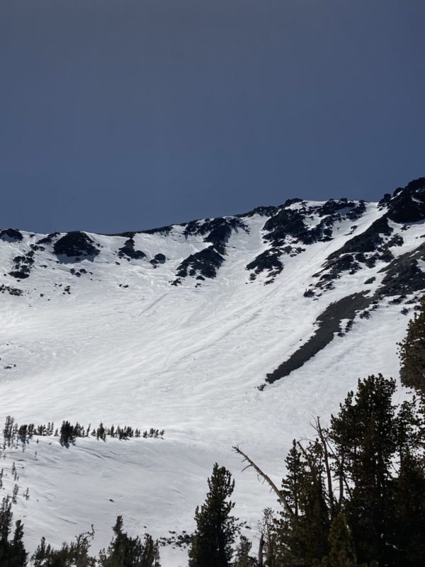 Barney Headwall at 2pm