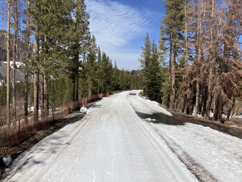 Dwindling coverage below 9000' in the Mammoth Lakes Basin.