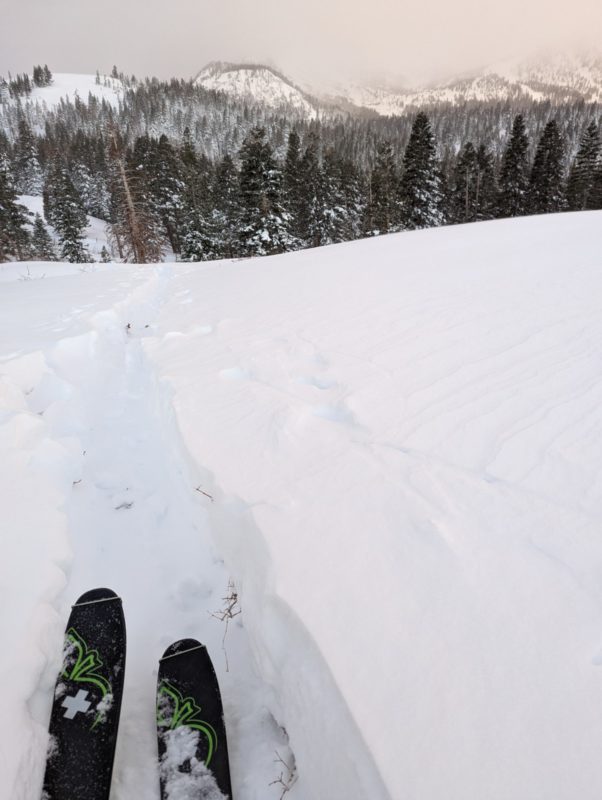 Lots of buried brush exposed while skinning, looking toward Mammoth Mountain