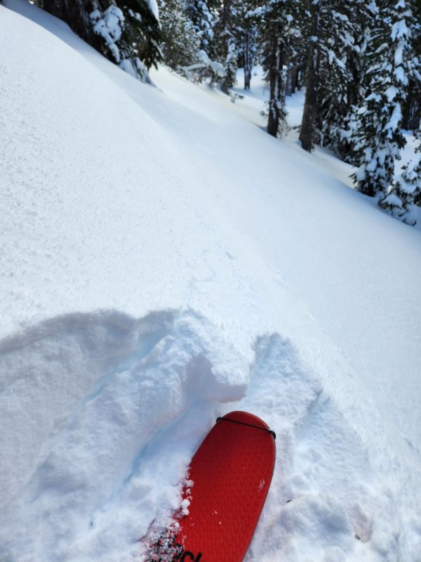 Shooting crack from a booming whumpf that shook snow out of the trees 50 feet away. 9725', W aspect, Mammoth Lakes Basin