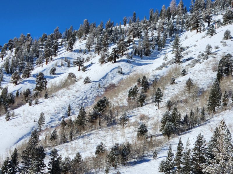 D1 natural avalanche above the East Fork campground. Likely ran in the past week.