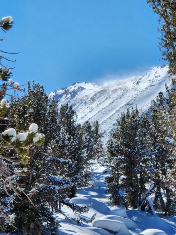 West winds blowing snow across Mt. Starr