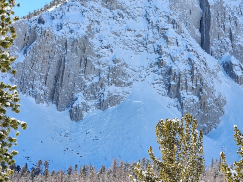 D2.5 natural avalanche in Patricia Bowl. Likely slid 12/3-12/5.