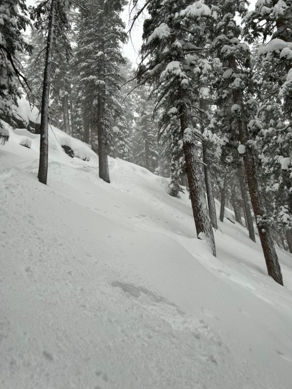 We had cracking near our tracks in steep unsupported terrain in Below Treeline Terrain