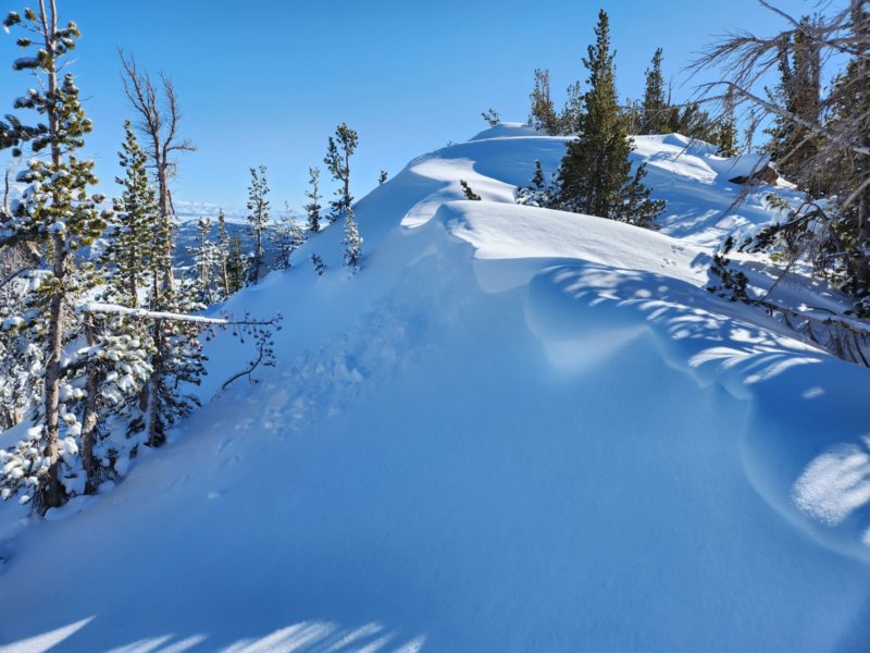 It's a baby! Natural wind slab on the east aspect of the Chicken Wing summit ridge. Likely failed Monday