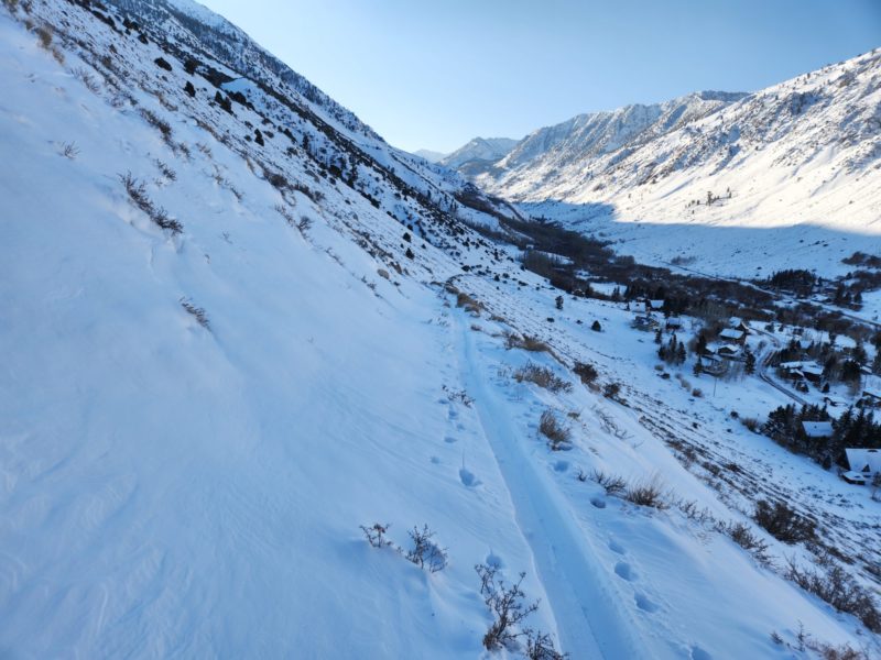 Brush poking through the snowpack below 9500 feet