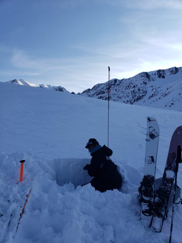 Dani Reyes-Acosta examining our snow pit off of Laurel Lakes Rd.